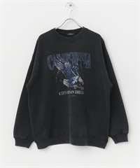 仿舊加工印刷休閒上衣(老鷹-M-COLOR C)