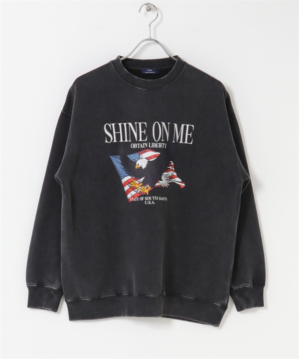 粉末加工裏起毛套衫(AMERICAN-M-COLOR A)