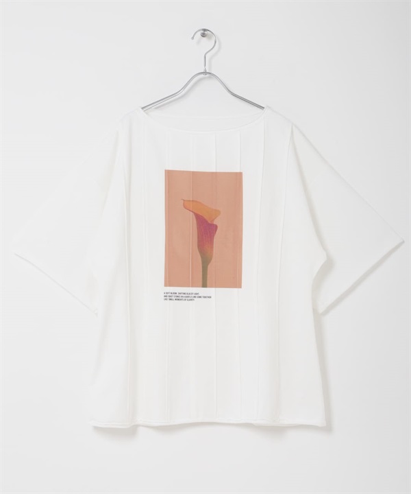 細褶相片印花T恤(米色-one-OFF WHITE)