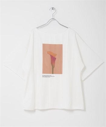 細褶相片印花T恤(米色-one-OFF WHITE)