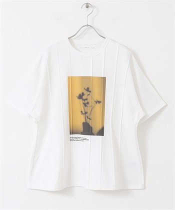 細褶相片印花T恤(米色-one-OFF WHITE)