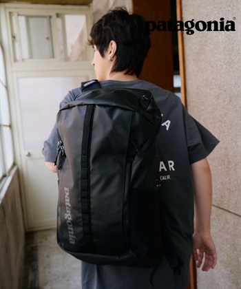 Patagonia /  Black Hole Pack 25L