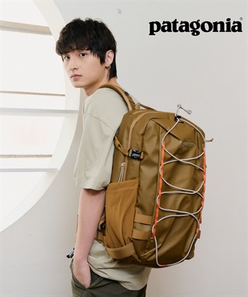 Patagonia /  Stealth Backpack 25L