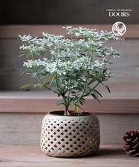 【現場實作報名】筑子 CHUZI x URBAN RESEARCH DOORS 竹編植衣工作坊(6/13 Sat.-14:30-16:30)