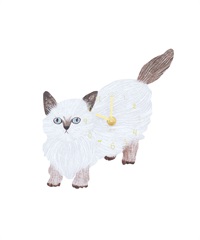 松尾美雪 貓咪掛鐘(褐白貓-Chad-其他棕色)